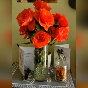 Meet your Posher, Gina